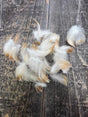 Wood Duck Neck Feathers Saddle Hackle, Hen Hackle, Asst. Feathers