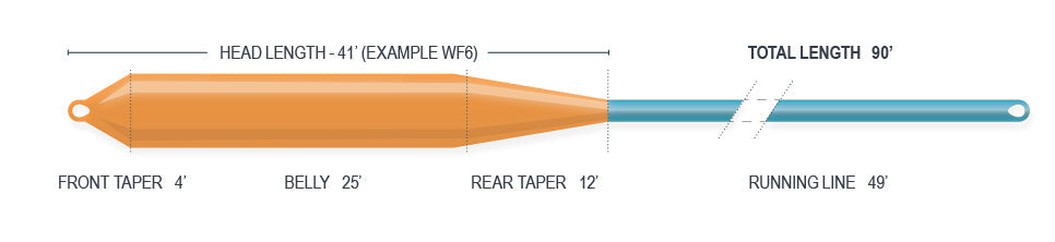 Airflo Super Dri Bass/Muskie Fly Line Fly Line