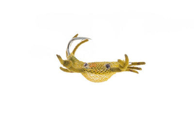 Alphlexo Crab Olive / 2 Flies