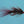 BH Mini Leech Wine Trout Flies