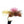 Bloom's Parachute Ant Cinnamon Size 12 Trout Fly