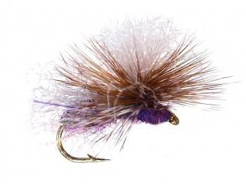 Bloom's Stealth Ant Purple / 12 Trout Flies