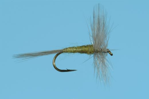 Blue Wing Olive Dry Fly 