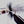 Boogle Amnesia Bug Pearly White / #10 Warmwater Flies
