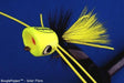 Boogle Bug BooglePopper Solar Flare / #4 Warmwater Flies
