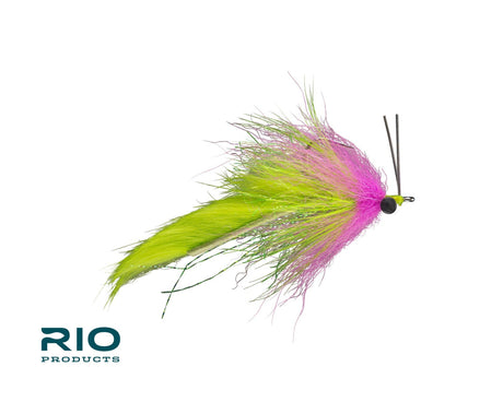 Boyle's Swamp Fox 1 / Electric Chicken Saltwater Flies