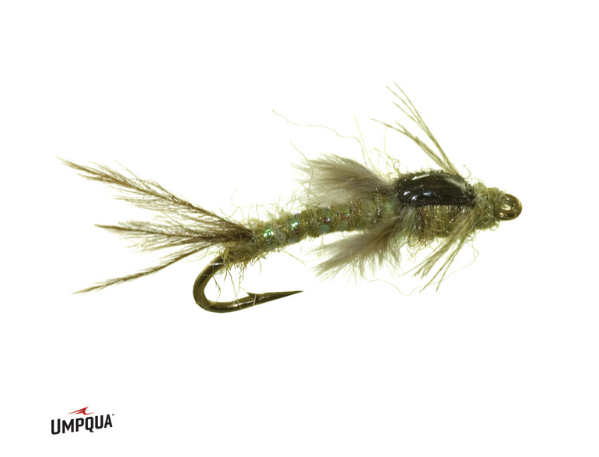 Callibaetis Nymph Poxyback Size 14 Flies