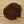 Cascade Crest New Age Chenille #0 Chocolate Mint #61 Chenilles, Body Materials