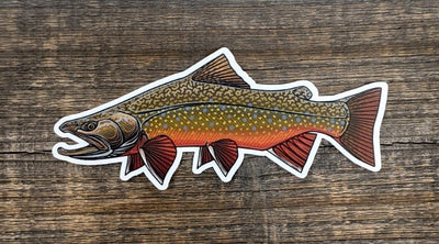 Casey Underwood 5" Sticker Brook Trout Stickers