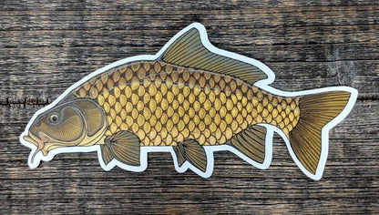 Casey Underwood 5" Sticker Carp Stickers