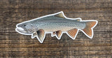 Casey Underwood 5" Sticker Lake Trout Stickers