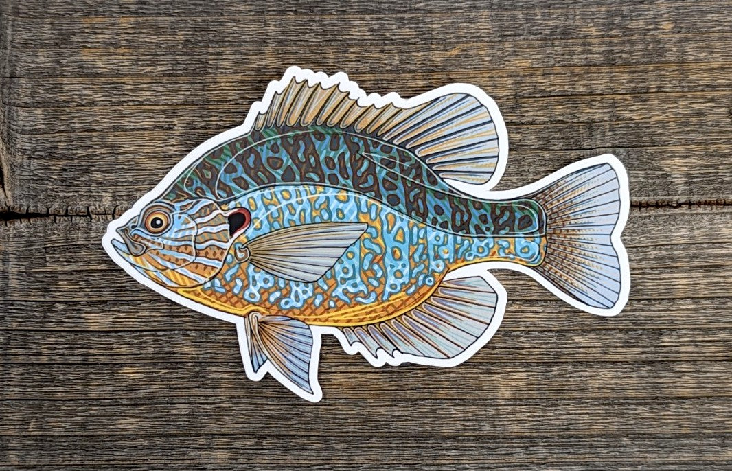 Casey Underwood 5" Sticker Pumpkinseed Stickers