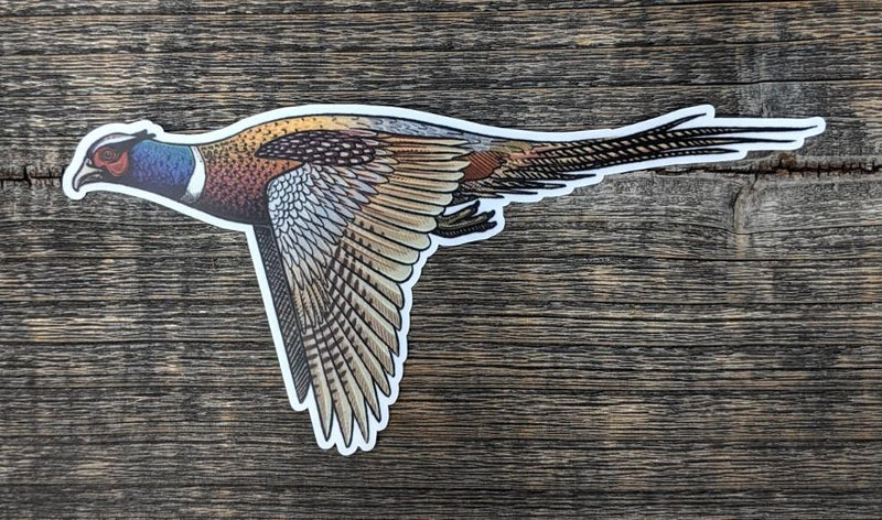 Casey Underwood 5" Sticker Ringneck Pheasant Stickers