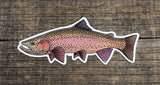 Casey Underwood 5" Sticker Spring Rainbow Stickers