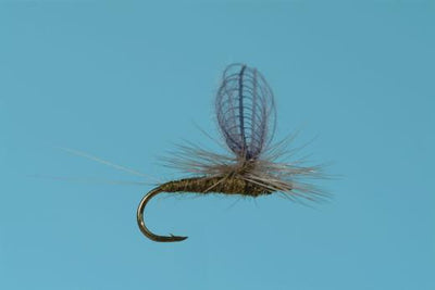 Solitude CDC Baetis Dun dry Fly trout blue winged olive