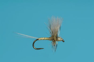 CDC PMD THORAX DUN dry fly
