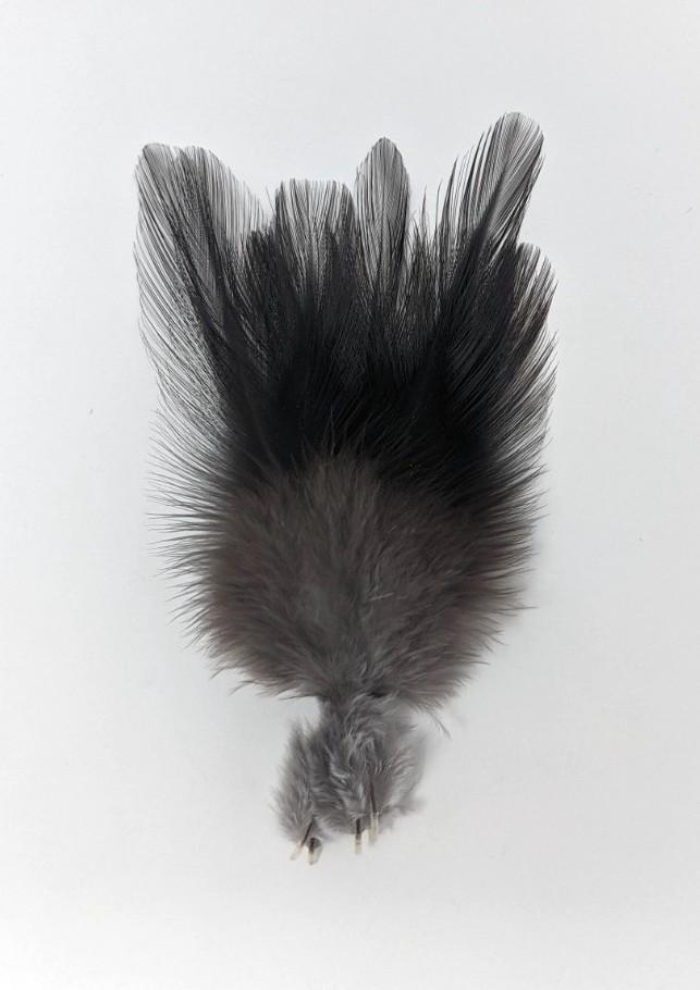 Coq de Leon Dun Saddle Hackle, Hen Hackle, Asst. Feathers