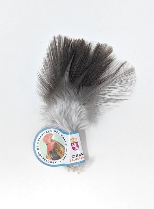 Coq de Leon Light Dun Saddle Hackle, Hen Hackle, Asst. Feathers