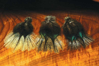 Coq de Leon feathers fly tying