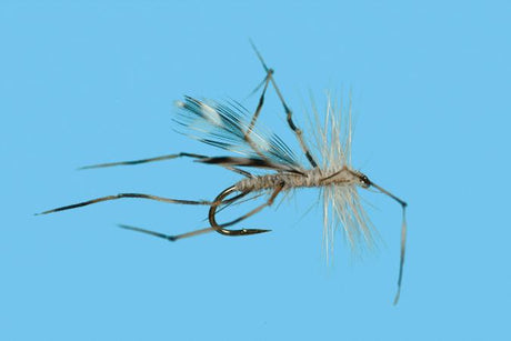 Crane Fly 449-10 Default Flies