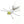 White permit crab yellow eyes pato casa blanca mexico fly