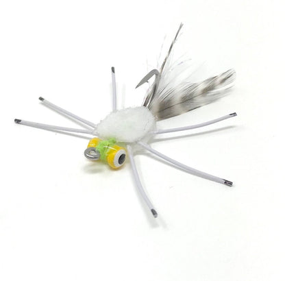 White permit crab yellow eyes pato casa blanca mexico fly