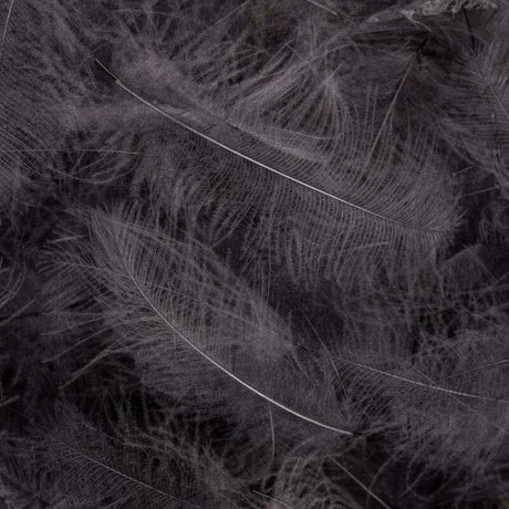 Dean Street CDC Super Select 1 Gram Pack #24 Blue Dun Saddle Hackle, Hen Hackle, Asst. Feathers