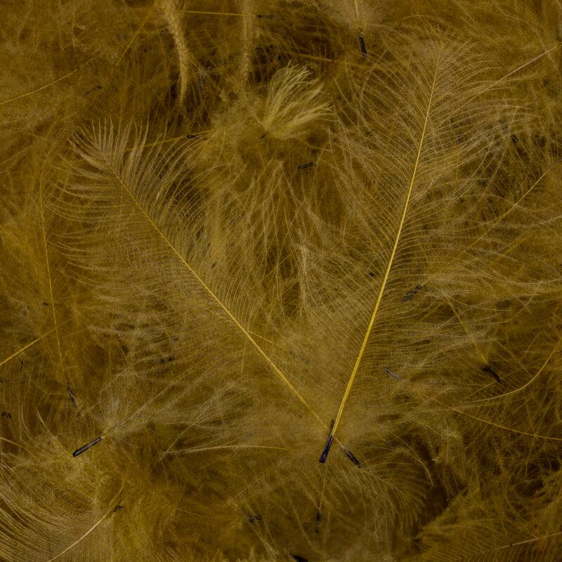 Dean Street CDC Super Select 1 Gram Pack #331 Sand Saddle Hackle, Hen Hackle, Asst. Feathers