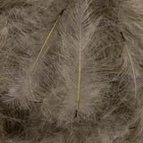 Dean Street CDC Super Select 1 Gram Pack #41 Brown Grey Saddle Hackle, Hen Hackle, Asst. Feathers