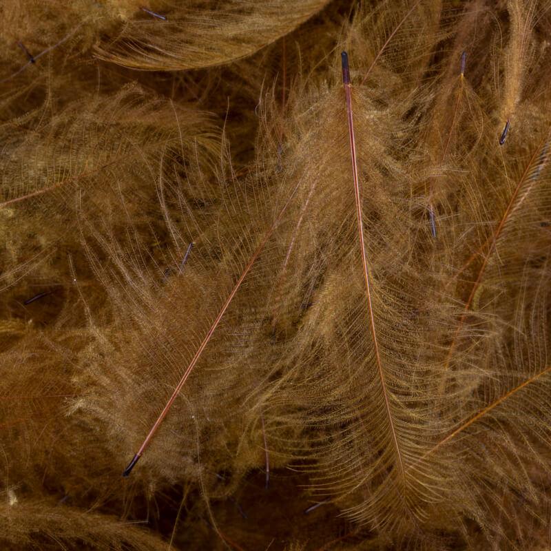 Dean Street CDC Super Select 1 Gram Pack #87 Dark Brown Saddle Hackle, Hen Hackle, Asst. Feathers