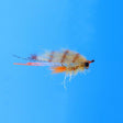 EP Bahamas Shrimp Tan / #6 Flies