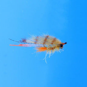 EP Bahamas Shrimp Tan / #6 Flies