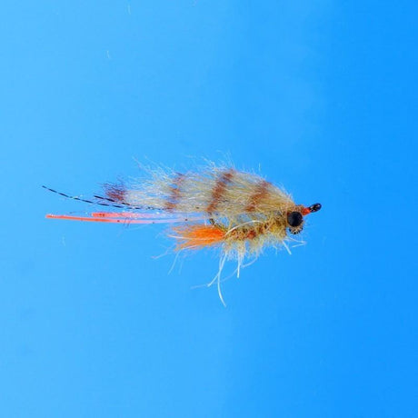 EP Bahamas Shrimp Tan / #6 Flies
