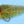 EP Pumpkinseed Pumpkinseed / 1/0 Flies