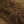 EP Thunderstruck SPK Fibers Root Beer Flash, Wing Materials