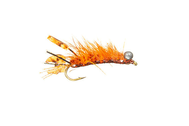 Fighting Craw Flies