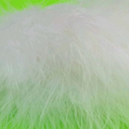 Fish Hunter Blood Quill Marabou Master Pack 1 oz. Bleached White Saddle Hackle, Hen Hackle, Asst. Feathers