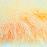 Fish Hunter Blood Quill Marabou Master Pack 1 oz. FL. Creamsicle Orange (UV) Saddle Hackle, Hen Hackle, Asst. Feathers