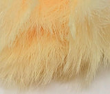 Fish Hunter Blood Quill Spey Marabou Master Pack FL. Creamsicle Orange (UV) Saddle Hackle, Hen Hackle, Asst. Feathers