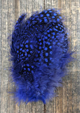 Fish Hunter Jumbo Guinea Purple (UV) Saddle Hackle, Hen Hackle, Asst. Feathers