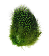 Fish Hunter Large Dot Guinea FL. Chartreuse (UV) Saddle Hackle, Hen Hackle, Asst. Feathers