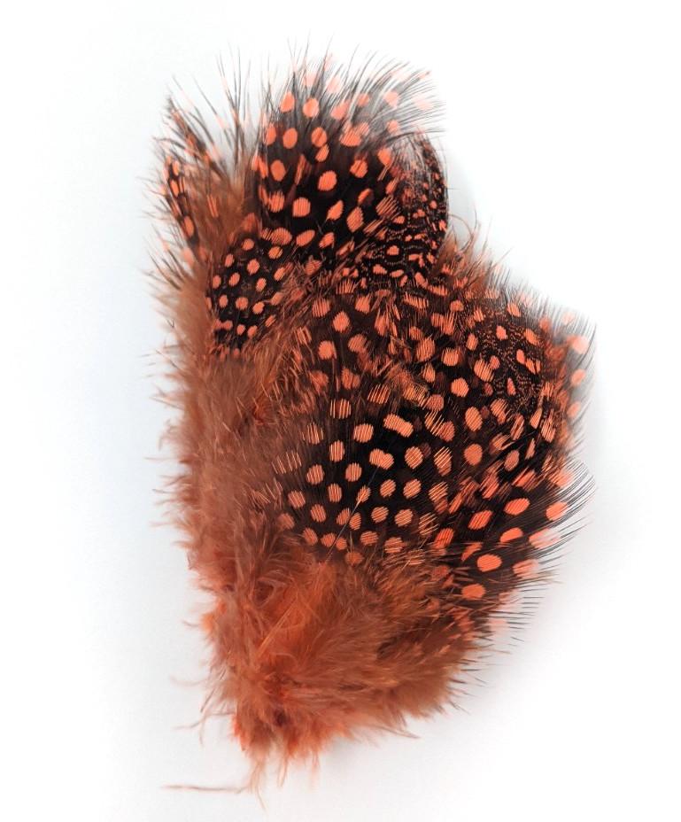 Fish Hunter Large Dot Guinea FL. Steelhead Orange (UV) Saddle Hackle, Hen Hackle, Asst. Feathers