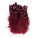 Fish Hunter Large Dot Guinea Maroon/Wine Saddle Hackle, Hen Hackle, Asst. Feathers