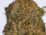 Nature's Spirit Ringneck Pheasant Rump Patch Olive