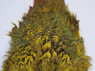 Nature's Spirit Ringneck Pheasant Rump Patch Yellow