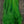 Fish Hunter Select Saddle Hackle Kelly Green Saddle Hackle, Hen Hackle, Asst. Feathers