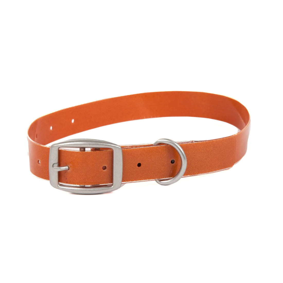 Fishpond Salty Dog Collar Medium / Cutthroat Orange