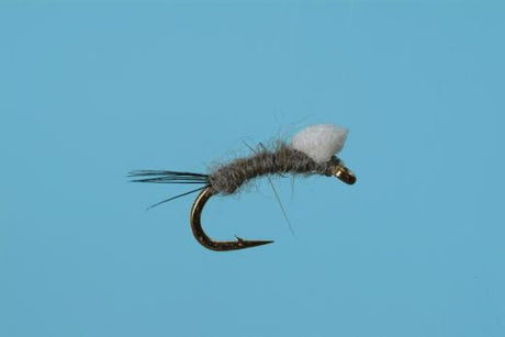 Foam Wing RS2 Trout Flies