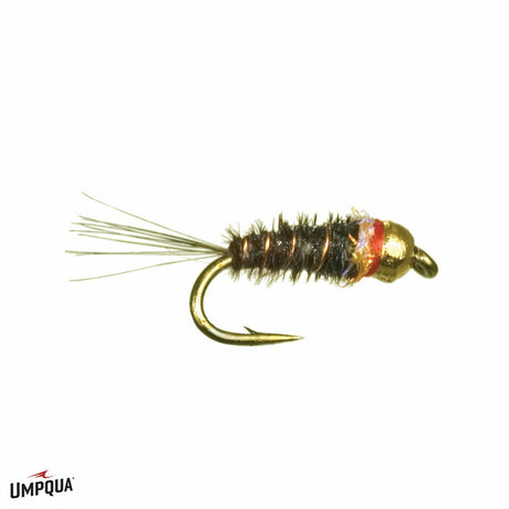 Frenchie Tungsten Nymph 14 Flies