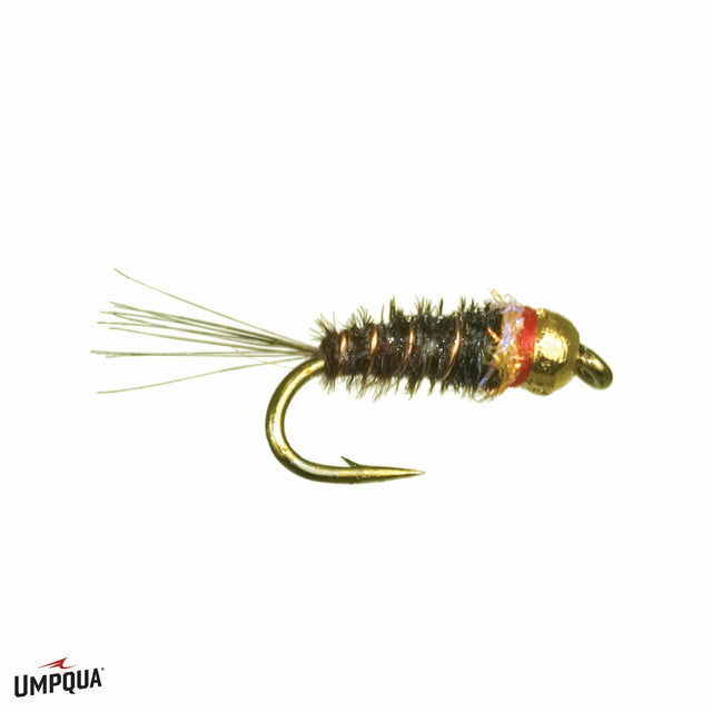 Frenchie Tungsten Nymph 14 Flies